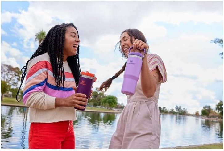 Stanley IceFlow Flip Straw Tumbler with Handle 30 oz | Twist On Lid and Flip Up Straw | Leak Resistant Water Bottle | Insulated Stainless Steel |BPA-Free | Plum