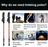 Aihoye Collapsible Trekking Poles - 2 Pack, Lightweight, Anti-Shock Walking Sticks - Adjustable for Men and Women