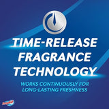 DampRid Hi-Capacity Moisture Absorber Bucket, Fragrance Free, 2 lb. 15.5 oz. & Moisture Detection Strip (2 Pack), Attracts & Traps Excess Moisture