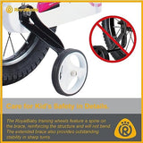 RoyalBaby Kids Bike EZ Freestyle Training Free Balance to Pedal Easy Learning Bicycle, 12-18 Inch for Toddlers to Big Kids