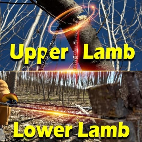 55 Inch High Limb Rope Saw with 70 Sharp Teeth, Effortless 360° Arborist Tree Limb Cutter – Dual Sided Chain Cutting Tool for High Branches, Pocket Wire Chain for Outdoor Adventures with Storage Box