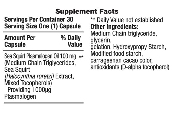 REMORY Plasmalogen Sea Squirt Supplement - Brain Health Supplement - 30 Days Supply