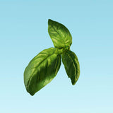 Calvin Klein Eternity Aqua For Him Eau de Toilette 1.6 fl oz