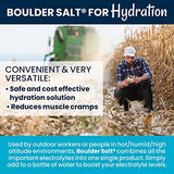 Boulder Salt - Low Sodium Salt - Unflavored Salt for Cramps, High Blood Pressure and POTS - Good on Food or in Water. 113 Servings.