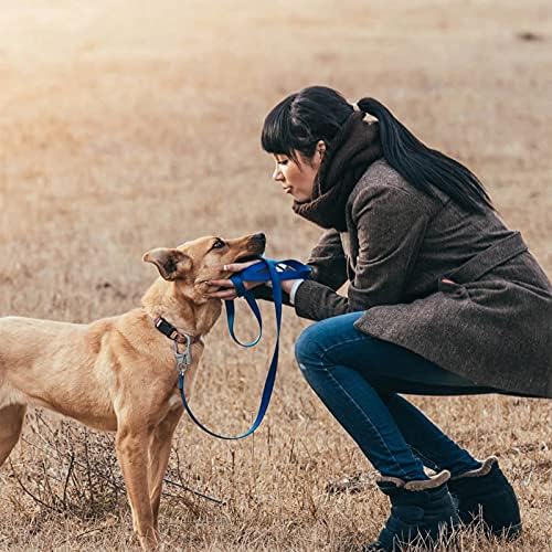 Ahiller Carabiner Clip, Double Anti-Misopening Locking Design, 3" Zinc Alloy Heavy Keychain for Outdoor Camping Hiking, Key Ring Clip