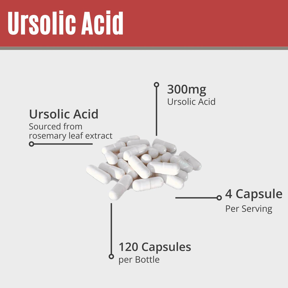 MAAC10 Ursolic Acid 300mg - Sourced from Rosemary Extract, AMPK & Sirtuin Activator - Third-Party Lab Tested