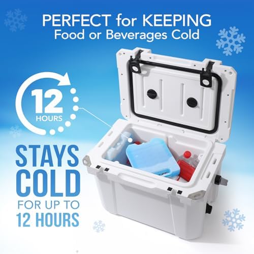 Jumbo Reusable Ice Packs for Cooler with Handle (4 Pack) Long Lasting Coolness, BPA Free, Freezer Packs for Extended Cooling | Cooler Ice Packs for Camping, Fishing, Hiking, Beach