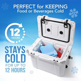 Jumbo Reusable Ice Packs for Cooler with Handle (4 Pack) Long Lasting Coolness, BPA Free, Freezer Packs for Extended Cooling | Cooler Ice Packs for Camping, Fishing, Hiking, Beach