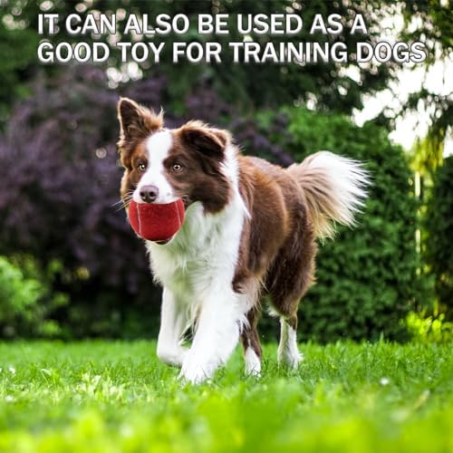 Tennis Balls, 20 Pack Training Tennis Balls,High Elasticity Practice Tennis for Beginner, Exercise Playing Balls for Pet Dog