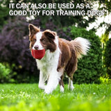 Tennis Balls, 20 Pack Training Tennis Balls,High Elasticity Practice Tennis for Beginner, Exercise Playing Balls for Pet Dog