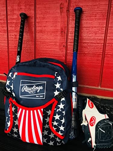 Rawlings | REMIX T-Ball & Youth Backpack Equipment Bag | Baseball/Softball | Multiple Colors