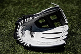 Rawlings | RSB Slowpitch Softball Glove Series | Multiple Styles
