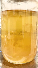 Premium 28oz Liquid Culture Kit XL | Easy Spore Germinating & Mushroom Cloning System