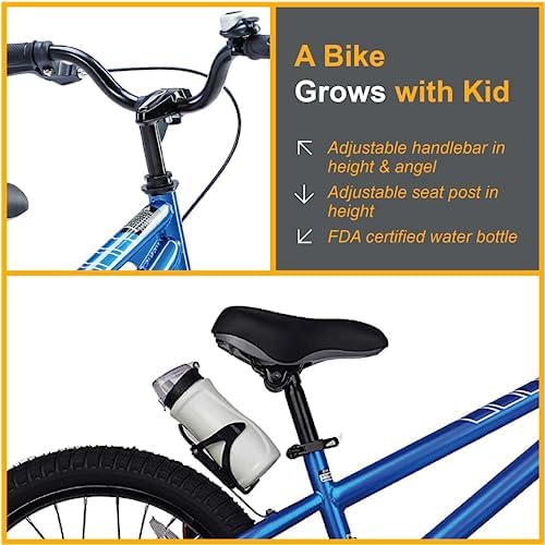 RoyalBaby Kids Bike EZ Freestyle Training Free Balance to Pedal Easy Learning Bicycle, 12-18 Inch for Toddlers to Big Kids
