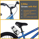RoyalBaby Kids Bike EZ Freestyle Training Free Balance to Pedal Easy Learning Bicycle, 12-18 Inch for Toddlers to Big Kids