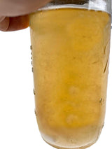 Premium Liquid Culture Kit Easy Spore Germinating & Mushroom Cloning System