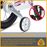RoyalBaby Kids Bike EZ Freestyle Training Free Balance to Pedal Easy Learning Bicycle, 12-18 Inch for Toddlers to Big Kids