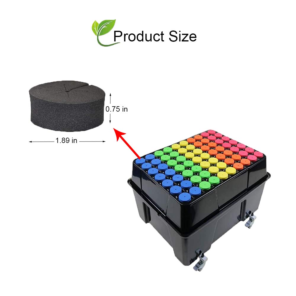 72 PCS Cloning Collars Inserts Premium Grade Foam Fits 2 Inch Net Pots