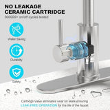 Brushed Nickel Single Hole Kitchen Faucets with Pull Down Sprayer, Single Handle, High Flow Water, Pull Out Tap, Stainless Steel Sink Faucet, Suitable for Farmhouse Camper Laundry Rv Bar