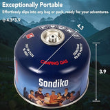 Sondiko Iso Butane Fuel Canister 230g 2 Pack, Camping Stove Fuel