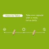 HUM Flatter Me Digestive Enzymes with Probiotics & Prebiotics - Fast-Acting Bloat Relief, Digestive Health and Regularity, Vegan Formula 60 Servings