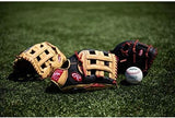 Rawlings | Select PRO LITE Youth Baseball Glove | Pro Player Models | Sizes 10.5" - 12.25" | Multiple Styles
