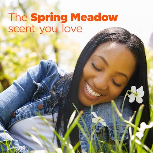 Tide PODS Laundry Detergent Pacs, 3-in-1 Stain Remover, Odor Fighter, Color Protector, 112 Count, HE compatible, Original Scent