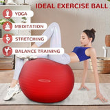Anti-Burst and Slip Resistant Exercise Ball - Yoga, Fitness, Birthing Ball With Quick Pump, 2,000-Pound Capacity, Multiple Colors and Sizes