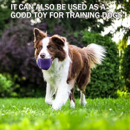 Tennis Balls, 20 Pack Training Tennis Balls,High Elasticity Practice Tennis for Beginner, Exercise Playing Balls for Pet Dog