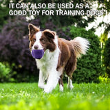 Tennis Balls, 20 Pack Training Tennis Balls,High Elasticity Practice Tennis for Beginner, Exercise Playing Balls for Pet Dog