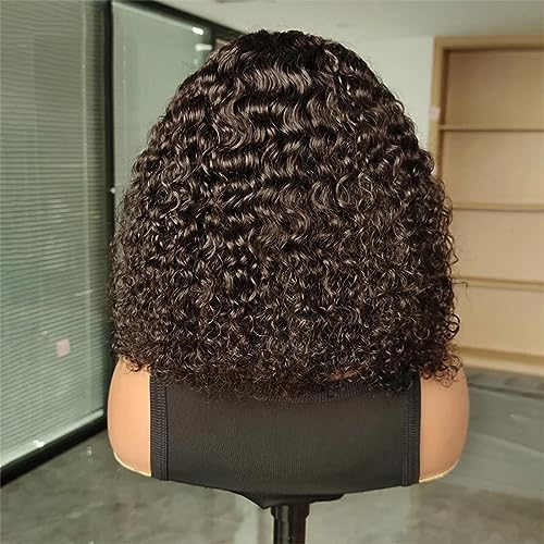 ISEE Hair Wear and Go Glueless Wigs Bob Wigs Human Hair Pre Plucked Water Wave Lace Front Wigs Human Hair Upgraded No Glue Transparent Lace Closure Wigs Human Hair for Women Natural Black 14 Inch