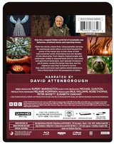 Green Planet (BD/4KUHD) [4K UHD]