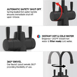 InSinkErator Stainless Steel Tank, HC250MBLK-SS HOT250 System, 2-Handle Drinking Faucet in Matte Black with 2/3-Gallon, Filter-Compatible Instant Hot/Cold Water Dispenser