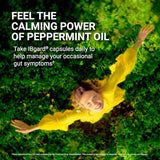 IBgard Gut Health Supplement, Peppermint Oil Capsules for Abdominal Comfort, 96 Capsules (Packaging May Vary)
