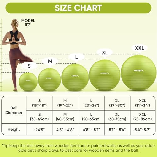APEXUP Yoga & Pilates Ball - Anti Slip Heavy Duty Gym Ball for Fitness, Balance & Core Workout