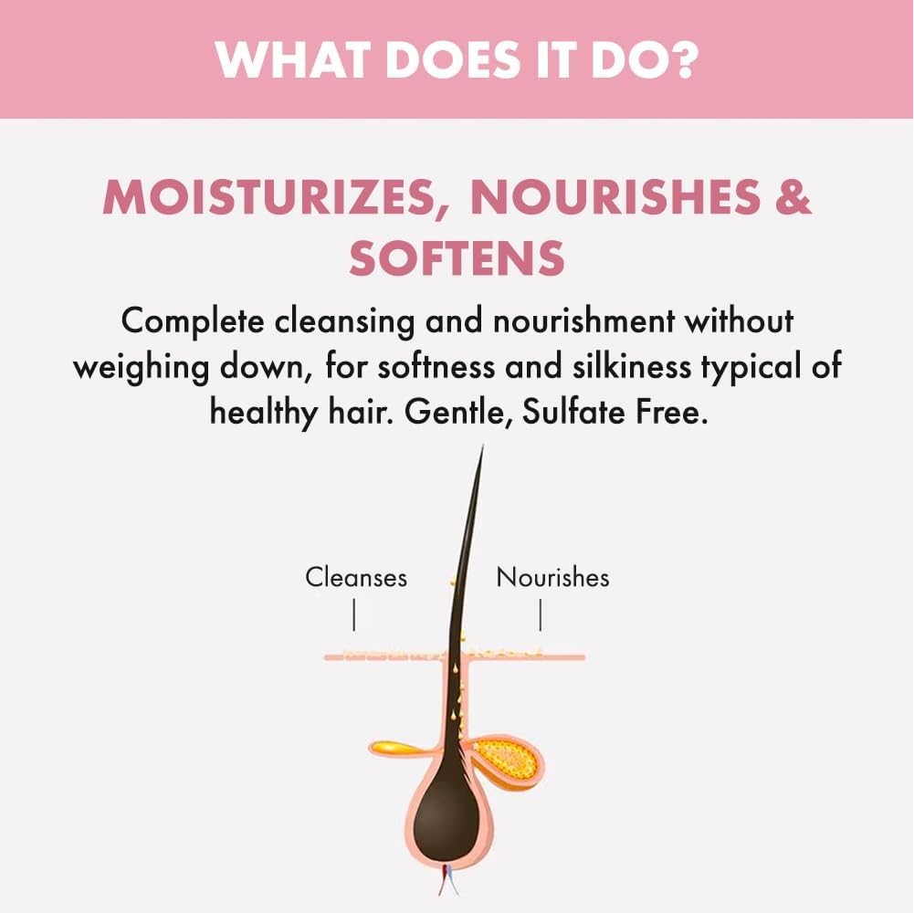 Alfaparf Milano Semi Di Lino Moisture Nutritive Low Shampoo - Sulfate Free Shampoo for Color Treated Hair - Moisturizing Hair Shampoo for Dry Hair - Paraben & Paraffin-Free (1000 ml / 33.8 oz)