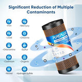 PUREPLUS 5 Micron 10" x 4.5" Whole House Coconut Shell Activated Carbon and KDF Water Filter, Heavy Metal Removal Replacement Water Filter, Compatible with GXWH40L, GXWH35F, BB10, CTO10BB-KDF, 2 PACK