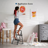 BONTEC 2-Step Ladder, Folding Step Stool, 600lbs Max Load Capacity, Sturdy Steel, Non-Slip Pedals, Lightweight, Portable Steel Ladder with Convenient Handrail, Safety Design for Home & Work, Black