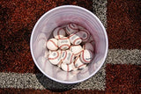Rawlings | Official League Competition Grade Baseballs | ROLB1X | Game/Practice Use | Youth/14U | Bucket | 24 Count
