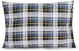 REDCAMP rc16031 Outdoor Camping Pillow Lightweight, 1 Count (Pack of 1), Blue and Grey