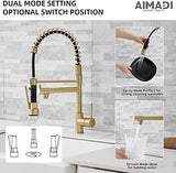 Brushed Gold Kitchen Faucet with Pull Down Sprayer, AIMADI Commercial Gold Kitchen Sink Faucet Single Handle Spring Two Nozzles Faucets