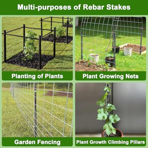 AAGUT 16 Inch Rebar Stakes Heavy Duty 16 Pack 3/8’’ Diameter Landscape Timber Spikes, Straight Stakes with Chisel Point End, Ground Anchors for Camping Tent, Garden Plant Support, Concrete, Black