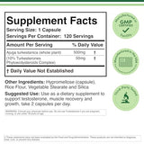 Turkesterone Supplement 500mg, 120 Capsules (Ajuga Turkestanica Extract Std. to 10% Turkesterone) Similar to Ecdysterone for Men's Health Support (Manufactured and Tested in The USA) by Double Wood