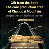 Ginseng Polypeptide Anti-Ageing Essence, Ginseng Anti Wrinkle Serum, Ginseng Anti Aging Essence, Gold Ginseng Face Serum, Ginseng Essential Oil Reduce Fine Lines (1 Bottle)