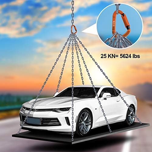 FVW Auto Locking Rock Climbing Carabiner Clips, UIAA Certified Professional 25KN (5620 lbs) Heavy Duty Caribeaners for Rappelling Swing Rescue & Gym etc,Large Carabiners,D-Shaped