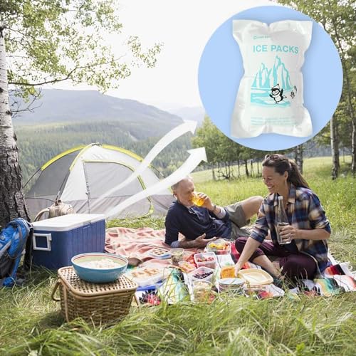 WORLD-BIO Dry Ice for Shipping Frozen Food & Travel, Long Lasting Cold Packs for Cooler 96 Packs 4.7" x 3.3", Small Freezer Packs for Shipping, Bulk Reusable Dry Ice Packs Cool Pack for Shipping