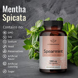 Spearmint 100 Capsules - 1000 mg - Organic Mentha Spicata Dietary Daily Supplement - Natural Support for Digestive & Respiratory Function - for Stress Relief - Vegan, Non-GMO