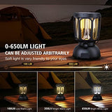 Raynic 6000 LED Camping Lantern Rechargeable, 650LM Hand Crank Solar Camping Light, Portable Battery Powered Lantern for Emergency, Power Outage, Hurricane, Outdoors