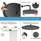 NearMoon Rain Shower Head, Ultra-Thin Design-Pressure Boosting, Awesome Some Experience, High Flow Stainless Steel Rainfall Head (12 Inch, Matte Black)