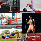 VEICK Resistance Bands, Exercise Bands, Workout Bands Set for Working Out with Handles for Men Women, Elastic Exercising Bands for Fitness Weights Work Out at Home Gym